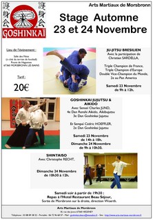 AMM_Stage131123_Affiche_Small